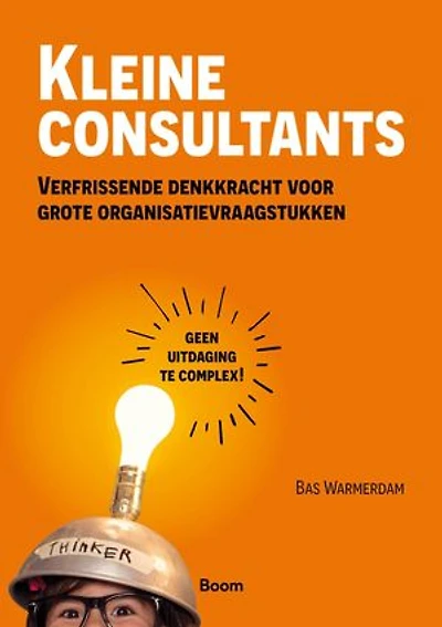 Kleine consultants: Verfrissende denkkracht voor grote organisatievraagstukken