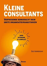 Kleine consultants: Verfrissende denkkracht voor grote organisatievraagstukken