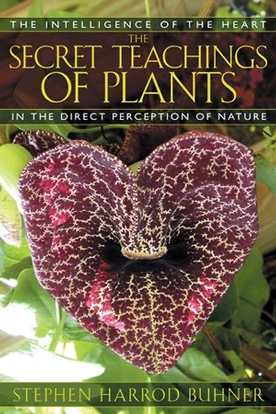 the Secret Teachings of Plants: Intelligence Heart Direct Perception Nature