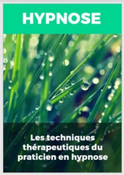 LES TECHNIQUES THÉRAPEUTIQUES DU PRATICIEN EN HYPNOSE