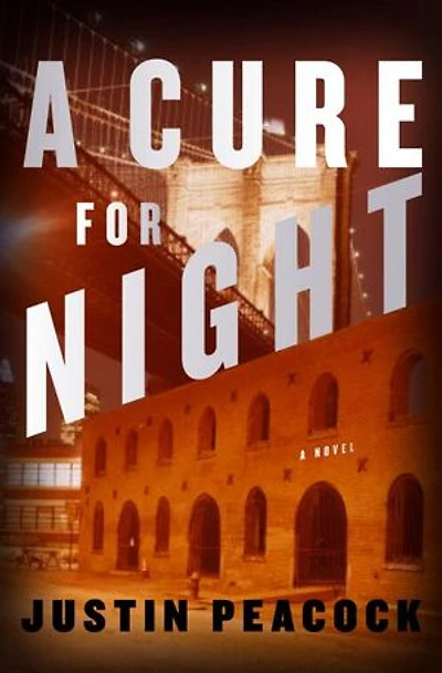 A Cure for Night: Novel
