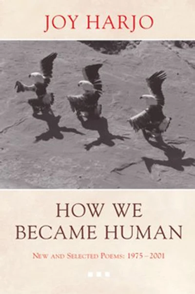 How We Became Human: New And Selected Poems 1975 To 2001