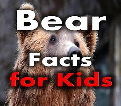 Bear Facts for Kids: Interesting Facts About Bears