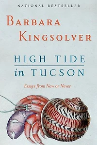 High Tide Tucson: Essays from Now or Never