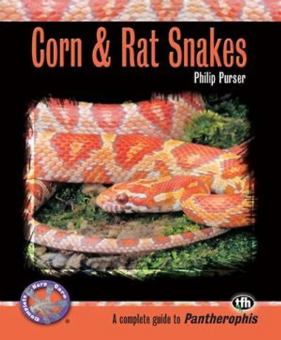 Corn & Rat Snakes: A Complete Guide To Pantherophis