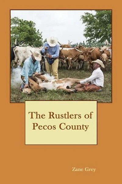 The Rustlers of Pecos County (Illustrated)
