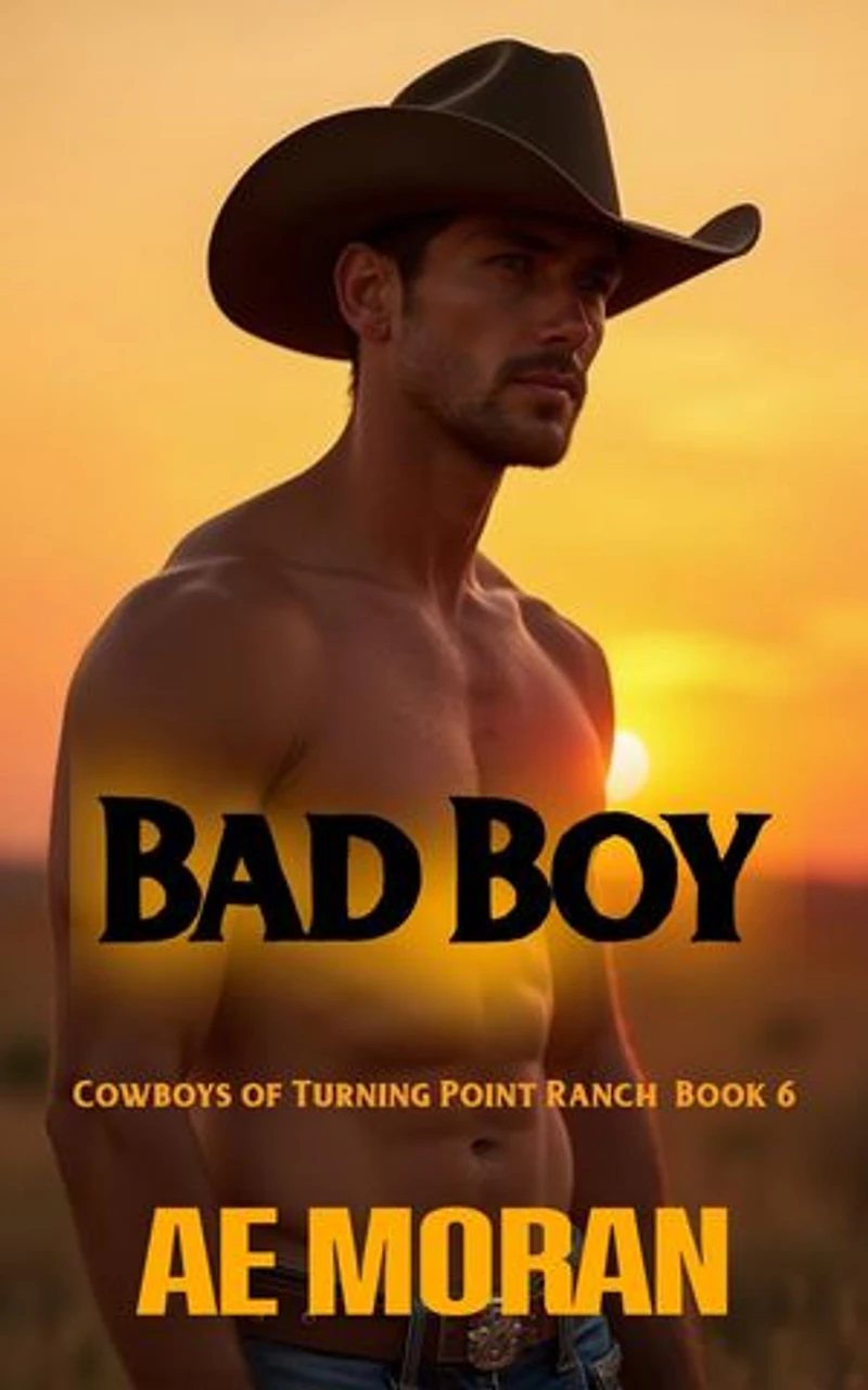 Bad Boy: Cowboys of Turning Point Ranch, #6