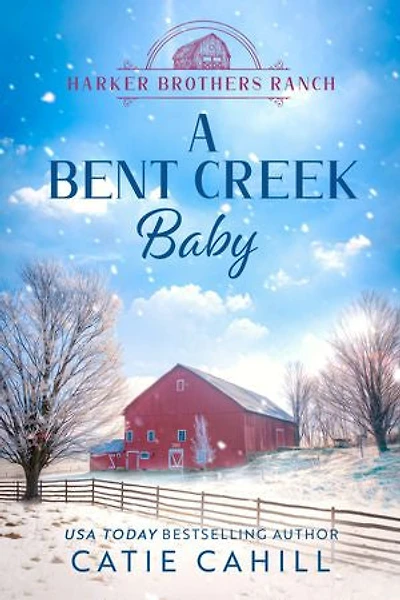 A Bent Creek Baby: A Closed Door Small Town and Family Saga Romance