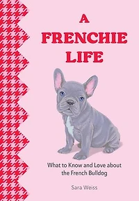 A Frenchie Life: What to Know and Love About the French Bulldog