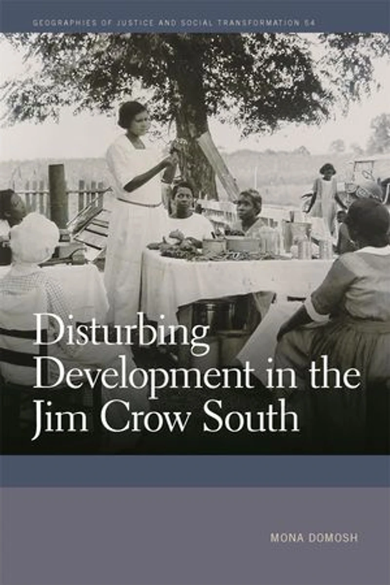 Disturbing Development the Jim Crow South