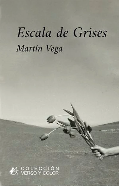 Escala de grises
