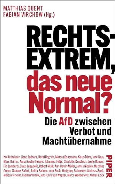 Rechtsextrem, das neue Normal?: Die AfD zwischen Verbot und Machtübernahme