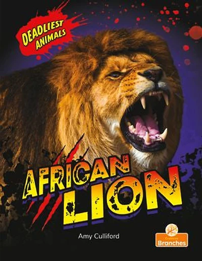 African Lion