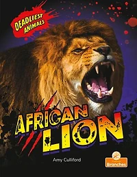 African Lion