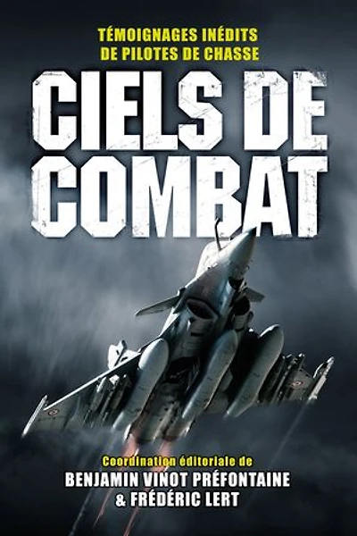Ciels de combat: témoignages inédits pilotes chasse