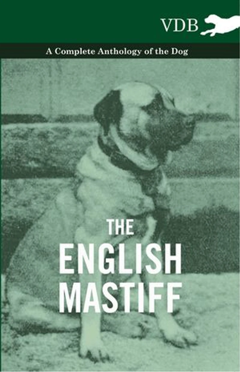 the English Mastiff - A Complete Anthology of Dog