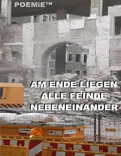 Am Ende liegen alle Feinde nebeneinander: Ausgewählte Friedhofslyrik: 113+1 Gedichte 1986 + 1993-2023