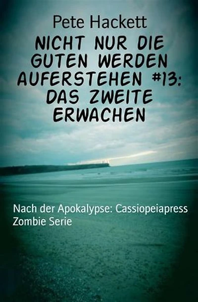 Nicht nur die Guten werden auferstehen #13: Das zweite Erwachen: Nach der Apokalypse: Cassiopeiapress Zombie Serie