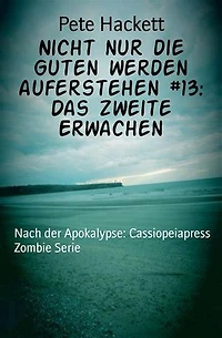 Nicht nur die Guten werden auferstehen #13: Das zweite Erwachen: Nach der Apokalypse: Cassiopeiapress Zombie Serie