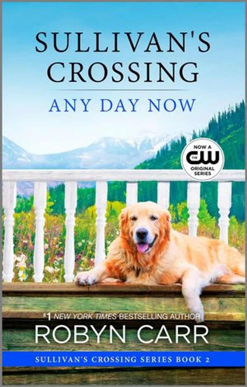 Any Day Now: A Sullivan’s crossing novel and the inspiration for hit Netflix show
