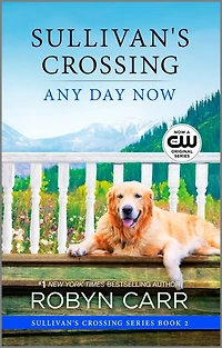 Any Day Now: A Sullivan’s crossing novel and the inspiration for hit Netflix show