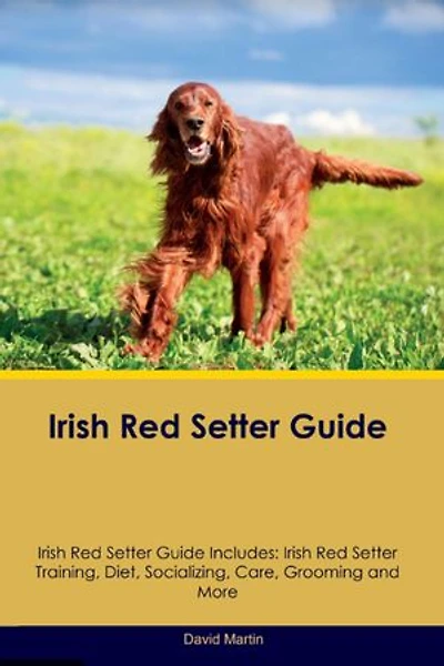 Irish Red Setter Guide Irish Red Setter Guide Includes: Irish Red Setter Training, Diet, Socializing, Care, Grooming, and More