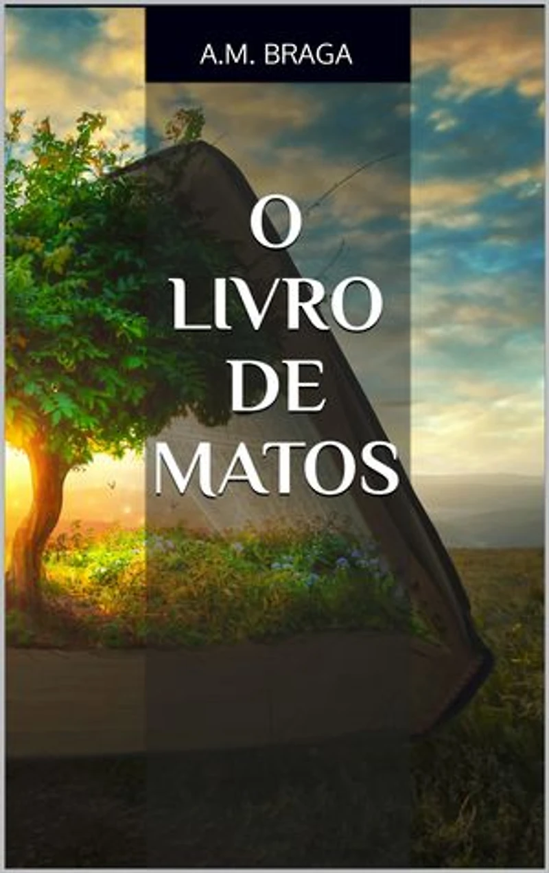 O Livro de Matos