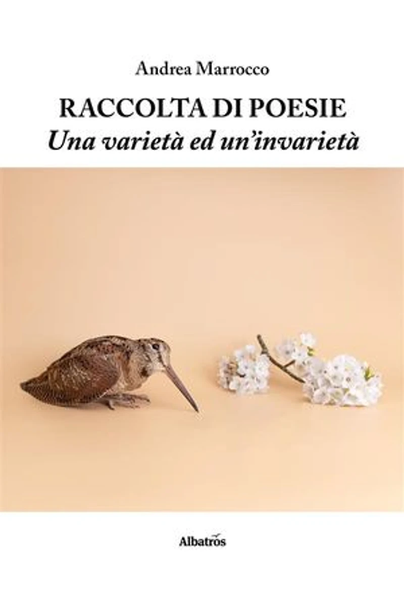 Raccolta di poesie