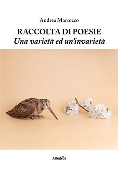 Raccolta di poesie