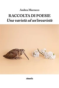 Raccolta di poesie