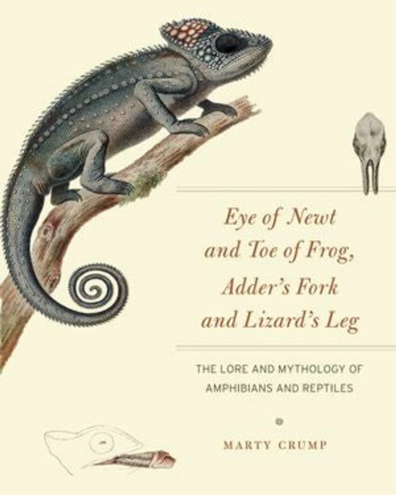 Eye of Newt and Toe Frog, Adder's Fork Lizard's Leg: The Lore Mythology Amphibians Reptiles