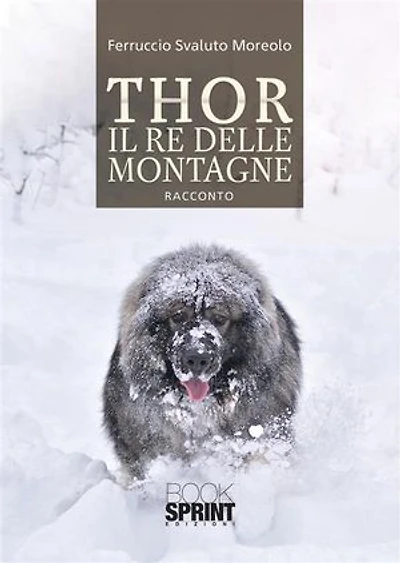 Thor il re delle montagne