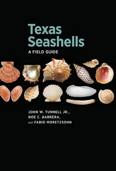 Texas Seashells: A Field Guide