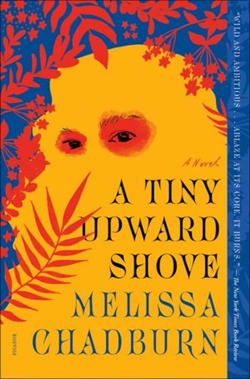 A Tiny Upward Shove: Novel
