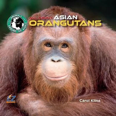 All About Asian Orangutans