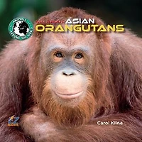 All About Asian Orangutans