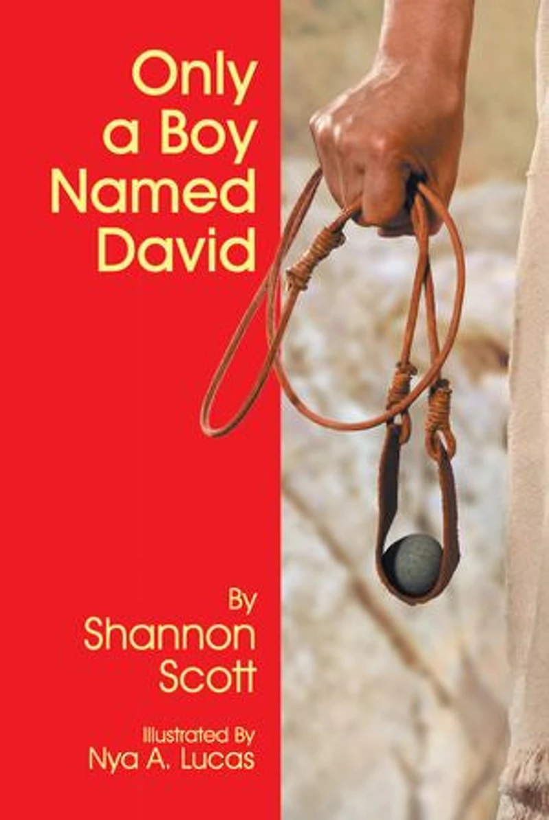Only A Boy Named David