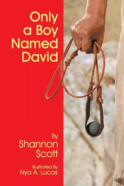 Only A Boy Named David