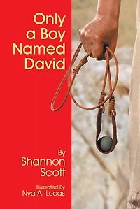 Only A Boy Named David