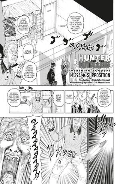 Hunter X Hunter - Chapitre 394 - Supposition