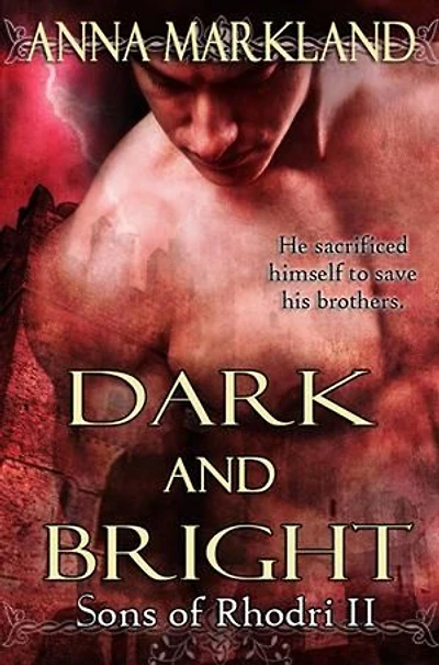 Dark and Bright: The Sons of Rhodri, #2