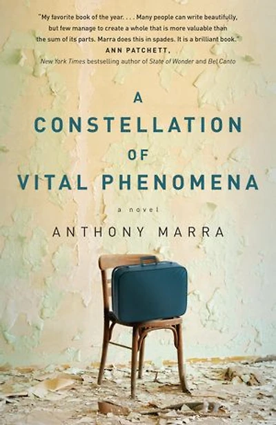 A Constellation of Vital Phenomena
