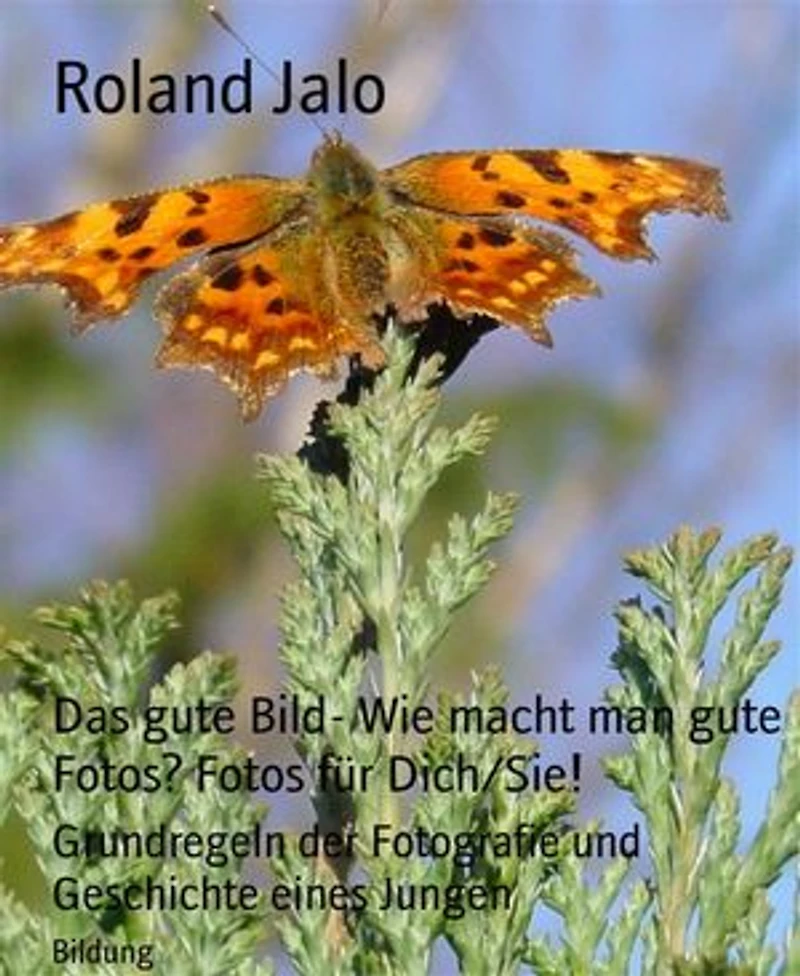 Das gute Bild- Wie macht man gute Fotos? Fotos für Dich/Sie!: Grundregeln der Fotografie und Geschichte eines Jungen