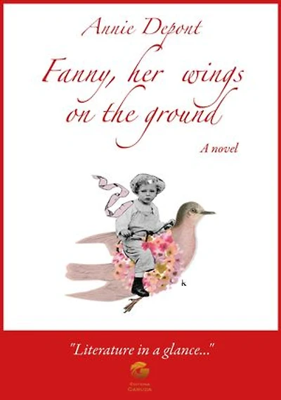 Fanny, her wings on the ground: A novel
