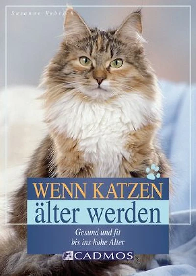 Wenn Katzen älter werden: Gesund und fit bis ins hohe Alter