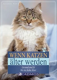 Wenn Katzen älter werden: Gesund und fit bis ins hohe Alter