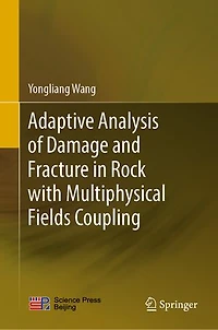 Adaptive Analysis of Damage and Fracture Rock with Multiphysical Fields Coupling