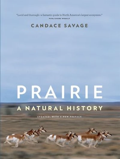 Prairie: A Natural History of the Heart North America: Revised Edition