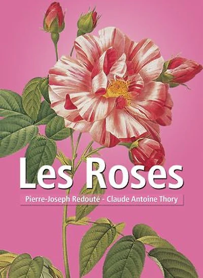 Les Roses