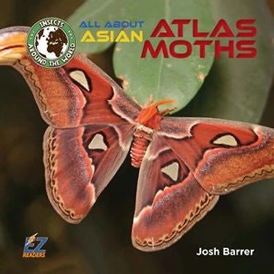 All About Asian Atlas Moths